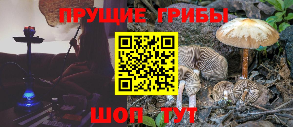 Псилоцибиновые грибы ЛСД  Галлюциногенные грибы мухоморы  сколько стоит  Артём  Вход с VPN 